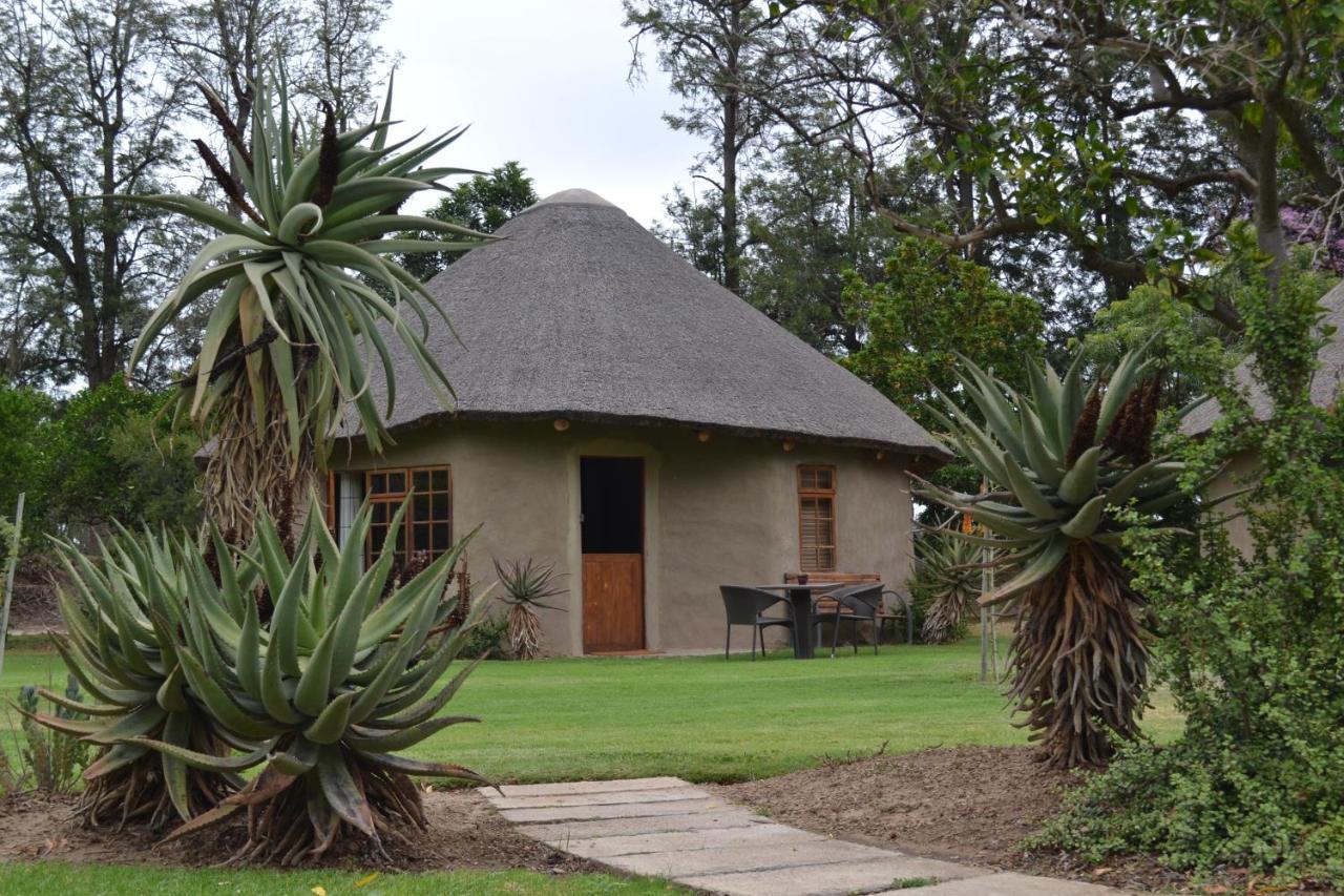 Chrislin African Lodge Addo Luaran gambar