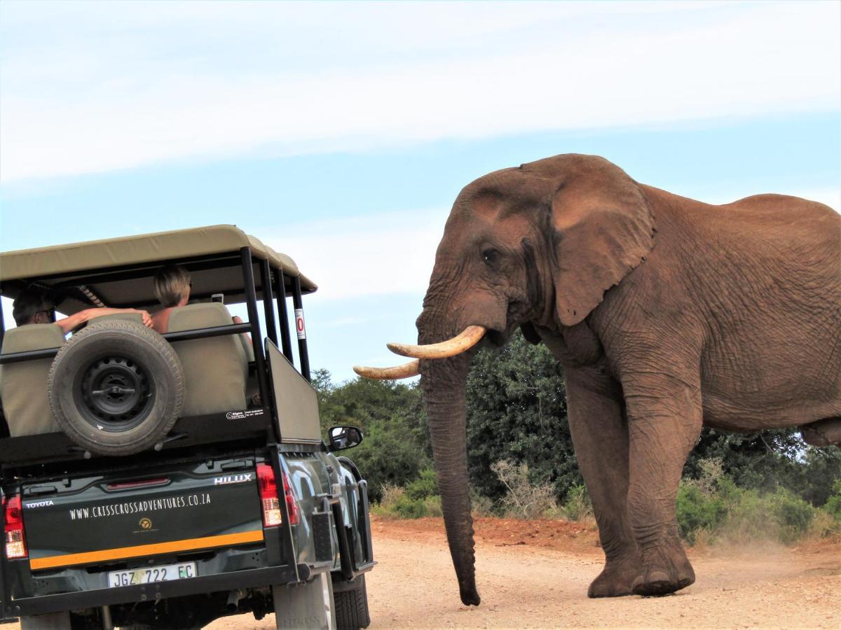 Chrislin African Lodge Addo Luaran gambar