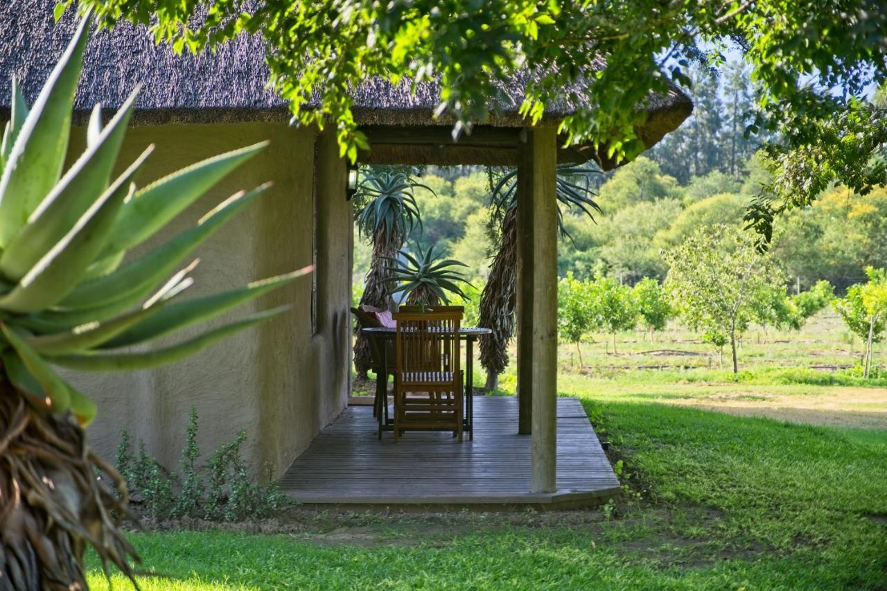 Chrislin African Lodge Addo Luaran gambar